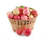 apples, basket, fruits, apple basket, fruit basket, red apples, fresh, ripe, harvest, produce, organic, fresh produce, healthy, food, isolated, apples, apples, apples, apples, apples, basket, fruits, fruits, fruits