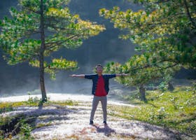 Why Morning Walk Is Better Than Gym for Seniors