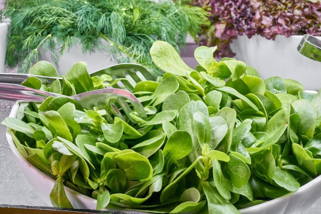Fresh green salad made with leafy vegetables, perfect for a healthy meal.